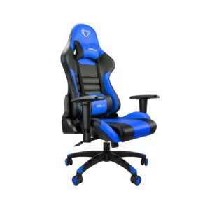 FURGLE CARRY SERIES RACING STYLE GAMING CHAIR Up to 149KG Blue-Black